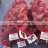 Chestnut thumbnail-1