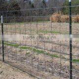 Solid Steel Pole For Cattle Fence Enclosure