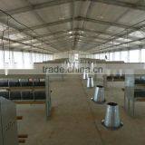 Chicken Poultry House thumbnail-1