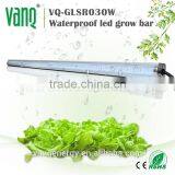 Wifi Controller LED Grow Light 30w For Greenhouse Project New Technolgy Smart LED Lighting thumbnail-2