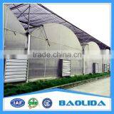 Low Cost Polythene Film Vegetable Greenhouse With Sun Shading thumbnail-1