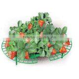 Strawberry Support 5pc/set thumbnail-1