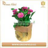 Golden Washable Bag Rolled Packing, Sack Metallic Color Keeper in Kraft thumbnail-4