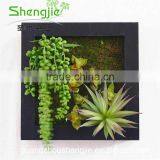 SJLJ013383 Artificial Succulent Plants for Wall / Wedding / Hotel Decoration thumbnail-6