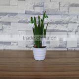 Table Artificial Mini Saussurea Flower Bonsai for Home and Commercial Decoration thumbnail-1