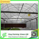 Glass Greenhouse thumbnail-5