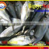 FROZEN BIGEYE SCAD WHOLE ROUND thumbnail-6