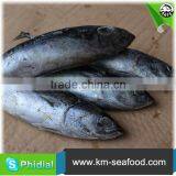 Carton or Woven Bag Packed Fat Content 16%-18% Bonito wr thumbnail-5