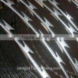 2017 Hot Sale Galvanized Razor Wire With Factory Price thumbnail-3