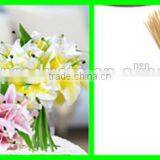 Thin Bamboo Sticks Wholesale thumbnail-1