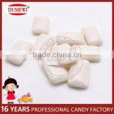 YIDA Plastic Portable Botlle Fruit Fresh Xylitol Chewing Gum Candy thumbnail-2