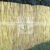 Reed Fence thumbnail-2