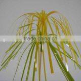 Different Designs of Palmtree Party Food Decoration Picks thumbnail-3