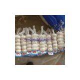 Fresh Pure White Garlic Garlic 2011 New Crop thumbnail-3