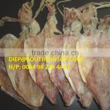 TOP QUALITY OF DRIED SQUID