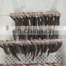 Wholesale One Night Dried Capelin Fish for Export thumbnail-5