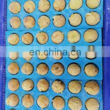 Hot Sale Roasted Octopus Ball Frozen Takoyaki for Export thumbnail-2