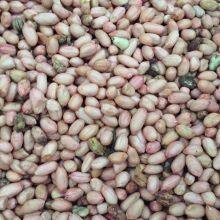 Henning Saint Peanut Color Sorter thumbnail-3