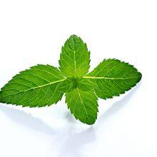 Hot Selling Factory Price High Purity 99% DL-Menthol With Top Quality thumbnail-2