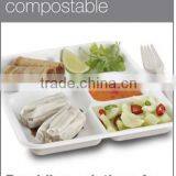 Disposable Biodegradable 5-compartment Food Tray