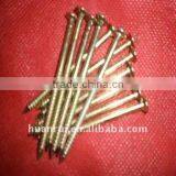 Screw Nails ---yellow thumbnail-1