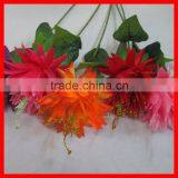 Single Stem Colorful Chrysanthemum Flower