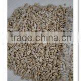 Inner Mongolia Sunflower Kernels(confectionary Kernel and Bakery Kernel) thumbnail-1