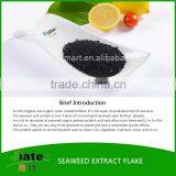 sea kelp extract powder /flake fertilizer