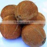 Semi Husked Cocount Good Qualityl thumbnail-4