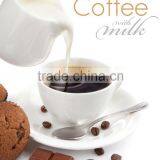 Non Dairy Creamer Powder Bulk thumbnail-1