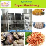 Lyine commerial Low Noise tea leaf drying machine