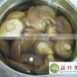 Fresh Whole Mushroom Shiitake in Can