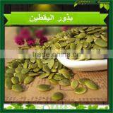 Shine Skin Pumpkin Seeds thumbnail-5