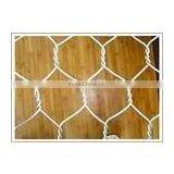 Galvanized Wire Mesh