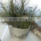 Jute Planter Bag thumbnail-1