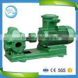 Portable Electric Marine Rotor Oil Pump thumbnail-1
