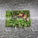 2017 SJ20170048 Artificial Plant Boxwood Hedge and Plastic Hedge Fence Wall thumbnail-1