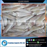 Properly Cleaned Premium Quality Cleaned Whole Round Squid for Bulk Buying