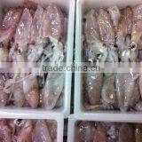 Frozen Baby Squid thumbnail-1