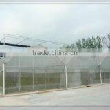 Hot Sale Film Vegetable Greenhouse With Insect Proof Screen thumbnail-1