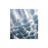 Fly-eye Lenticular Lens Sheet thumbnail-3