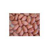 Red Skin Peanut Kernels