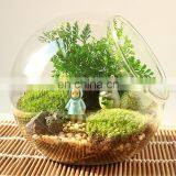 Terrarium Glass Terrarium Round Clear Glass Globe Ball Terrarium Planters Container Glass Flower Vase