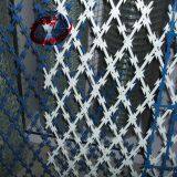 Cheap Galvanized Razor Barbed Wire thumbnail-4