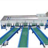 Weighting Dragon Fruit Sorting Machine | Dragon Fruit Grading Machine thumbnail-3