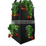 Breathable Felt Garden Grow Bags for Strawberry Growing thumbnail-5