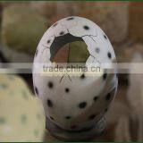 Lisaurus-I High Intensity Eggs Animals Egg for Them Park Dinosaur Egg Fosil