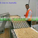 Buckwheat Healthy Crispbread Processing Line thumbnail-1