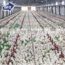 Steel Beam Structural Workshop Cabinet Cheap Warehouse Steel Chicken Houses for Sale thumbnail-2