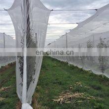 Transparentes landwirtschaftliches Insektengitter 40x25 50x25, Insektenschutzgitter thumbnail-5